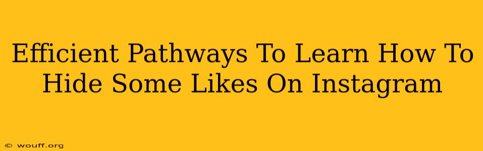 Efficient Pathways To Learn How To Hide Some Likes On Instagram