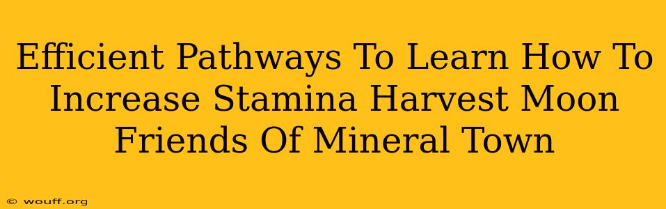 Efficient Pathways To Learn How To Increase Stamina Harvest Moon Friends Of Mineral Town