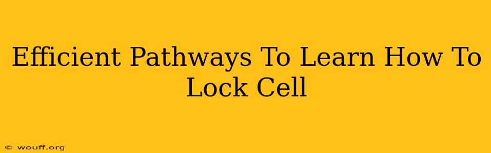 Efficient Pathways To Learn How To Lock Cell