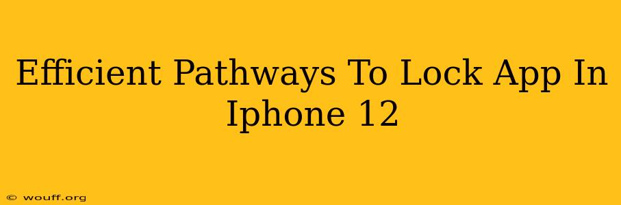 Efficient Pathways To Lock App In Iphone 12