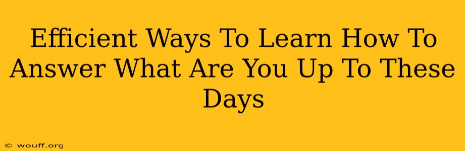 Efficient Ways To Learn How To Answer What Are You Up To These Days