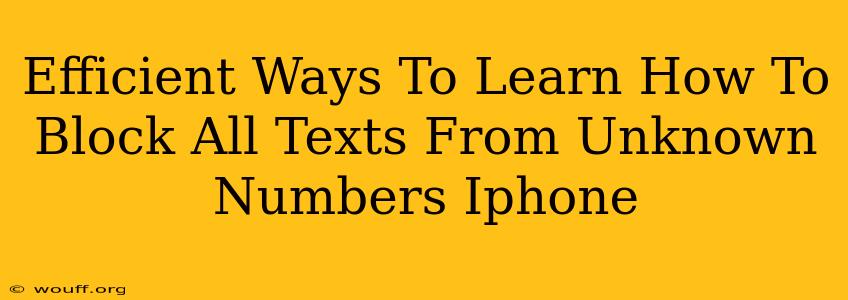 Efficient Ways To Learn How To Block All Texts From Unknown Numbers Iphone