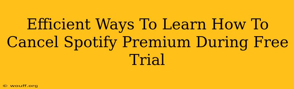 Efficient Ways To Learn How To Cancel Spotify Premium During Free Trial