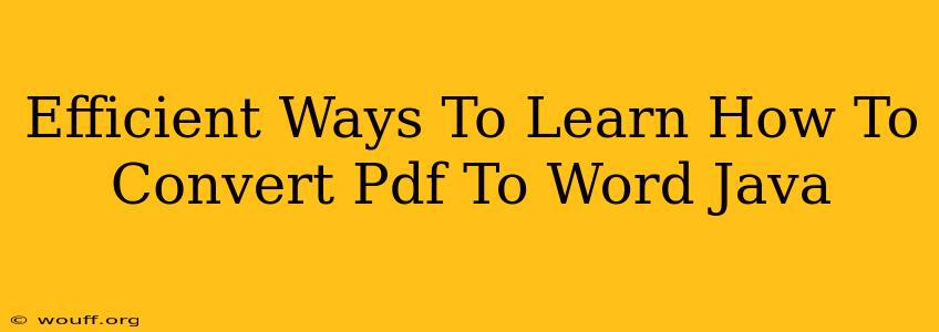 Efficient Ways To Learn How To Convert Pdf To Word Java