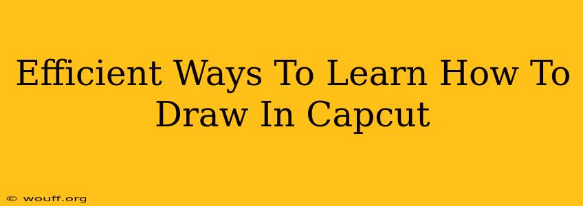 Efficient Ways To Learn How To Draw In Capcut