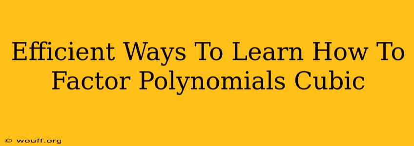 Efficient Ways To Learn How To Factor Polynomials Cubic