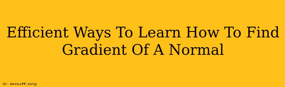 Efficient Ways To Learn How To Find Gradient Of A Normal