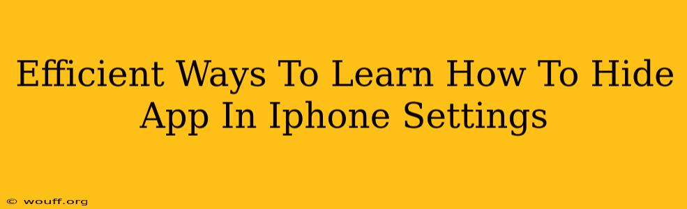 Efficient Ways To Learn How To Hide App In Iphone Settings