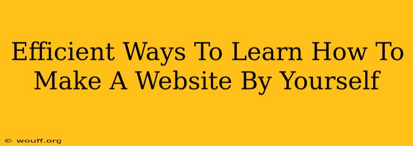 Efficient Ways To Learn How To Make A Website By Yourself