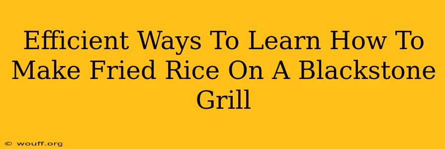 Efficient Ways To Learn How To Make Fried Rice On A Blackstone Grill