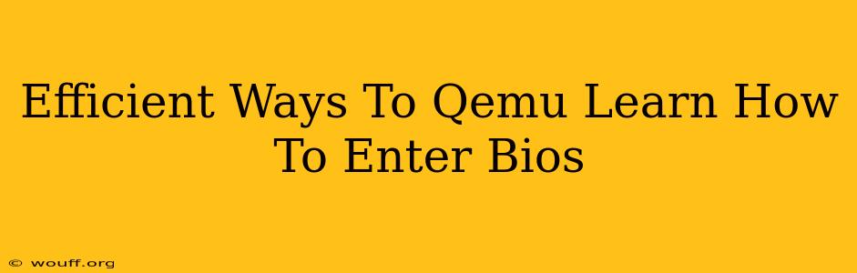 Efficient Ways To Qemu Learn How To Enter Bios