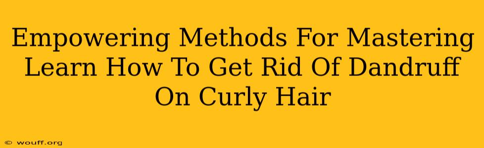 Empowering Methods For Mastering Learn How To Get Rid Of Dandruff On Curly Hair