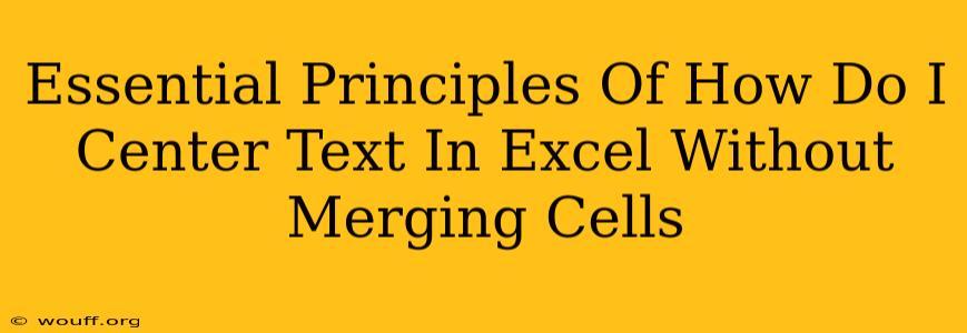 Essential Principles Of How Do I Center Text In Excel Without Merging Cells