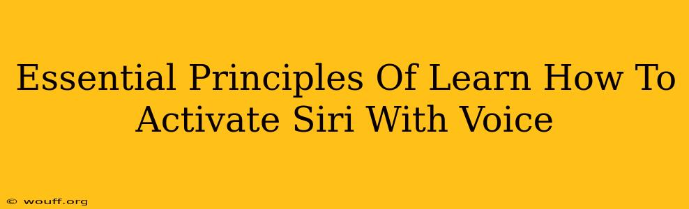 Essential Principles Of Learn How To Activate Siri With Voice