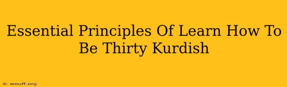 Essential Principles Of Learn How To Be Thirty Kurdish