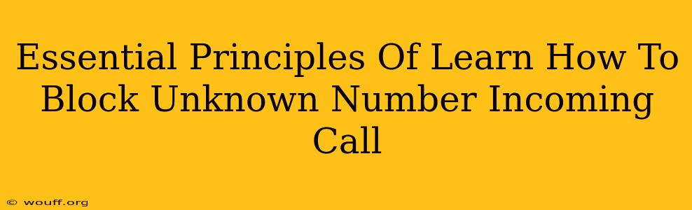 Essential Principles Of Learn How To Block Unknown Number Incoming Call