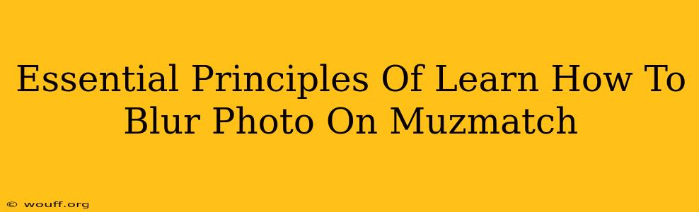 Essential Principles Of Learn How To Blur Photo On Muzmatch