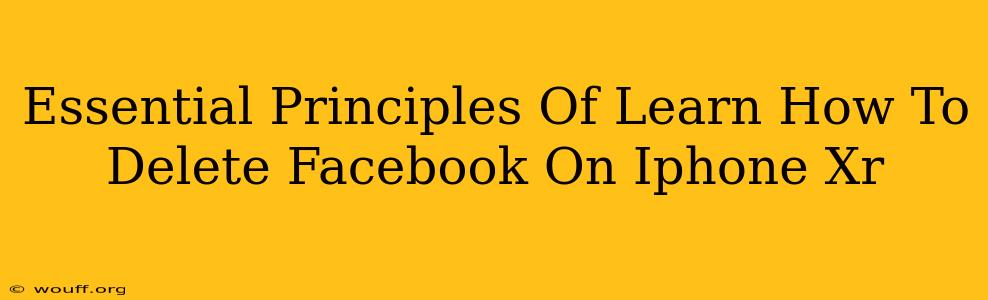 Essential Principles Of Learn How To Delete Facebook On Iphone Xr