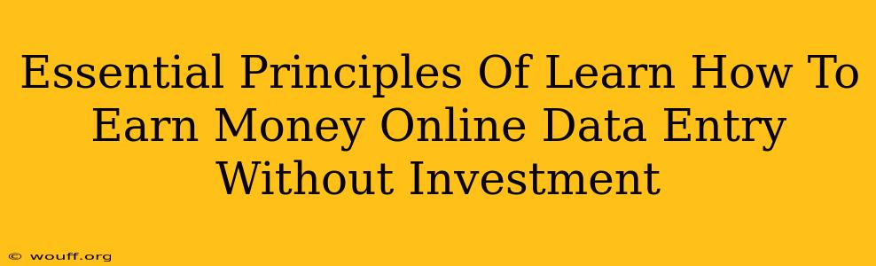 Essential Principles Of Learn How To Earn Money Online Data Entry Without Investment