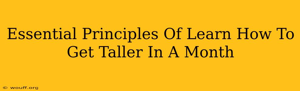 Essential Principles Of Learn How To Get Taller In A Month