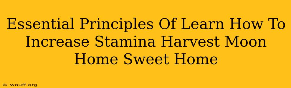 Essential Principles Of Learn How To Increase Stamina Harvest Moon Home Sweet Home