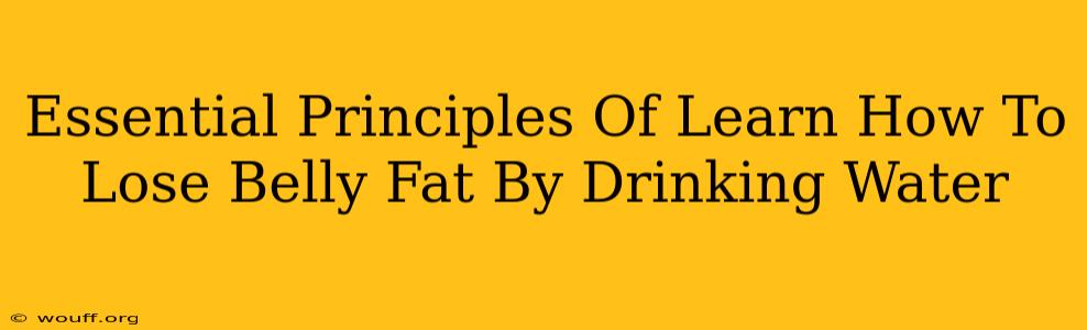 Essential Principles Of Learn How To Lose Belly Fat By Drinking Water