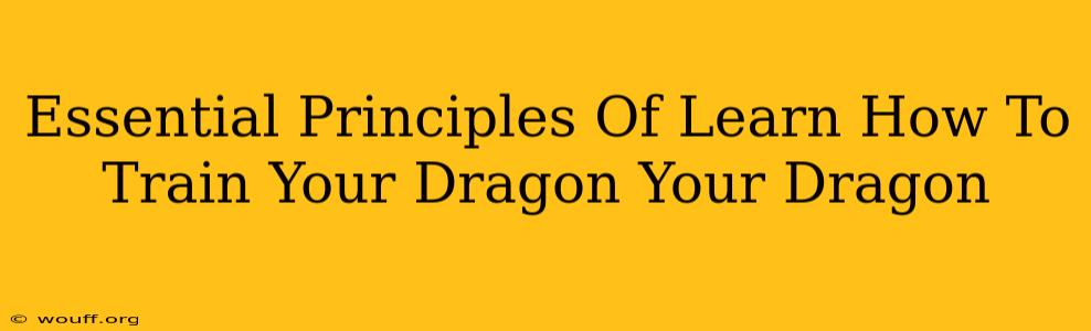 Essential Principles Of Learn How To Train Your Dragon Your Dragon