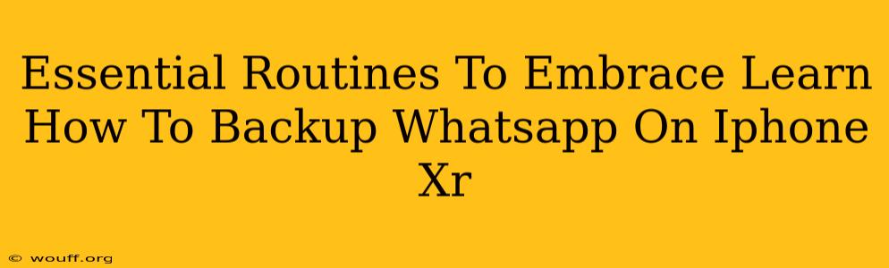 Essential Routines To Embrace Learn How To Backup Whatsapp On Iphone Xr