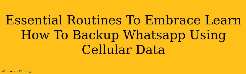 Essential Routines To Embrace Learn How To Backup Whatsapp Using Cellular Data