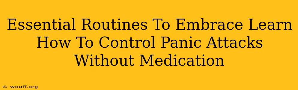 Essential Routines To Embrace Learn How To Control Panic Attacks Without Medication