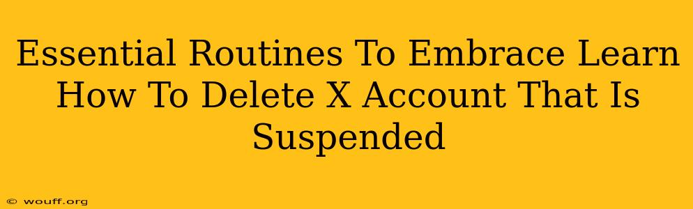 Essential Routines To Embrace Learn How To Delete X Account That Is Suspended