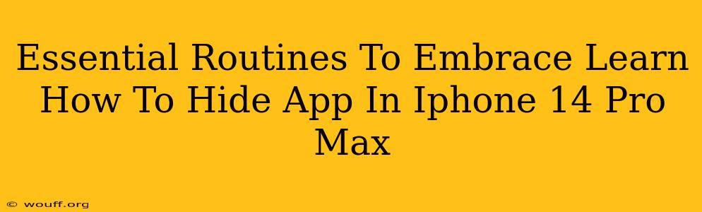 Essential Routines To Embrace Learn How To Hide App In Iphone 14 Pro Max