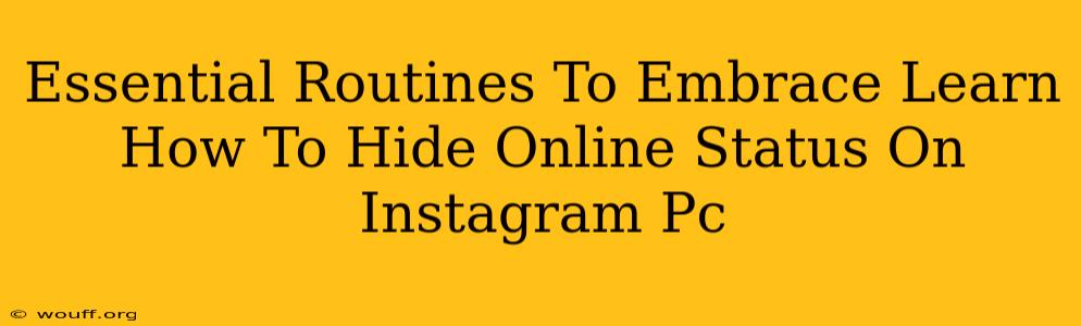 Essential Routines To Embrace Learn How To Hide Online Status On Instagram Pc