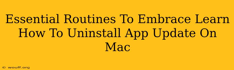 Essential Routines To Embrace Learn How To Uninstall App Update On Mac