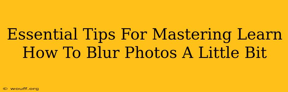 Essential Tips For Mastering Learn How To Blur Photos A Little Bit