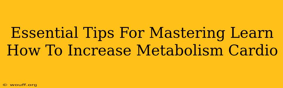 Essential Tips For Mastering Learn How To Increase Metabolism Cardio