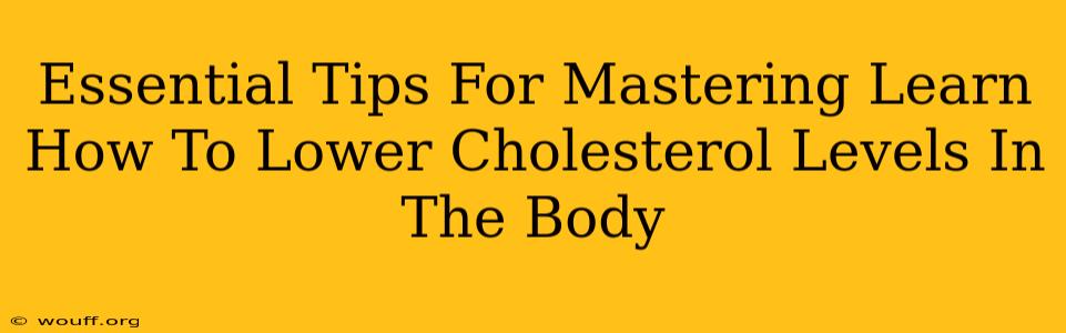 Essential Tips For Mastering Learn How To Lower Cholesterol Levels In The Body