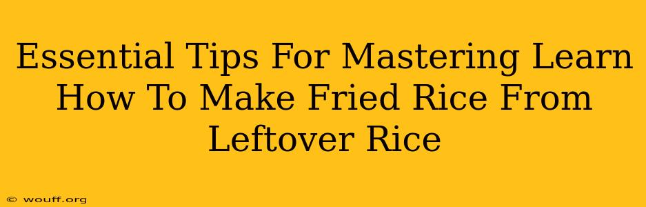 Essential Tips For Mastering Learn How To Make Fried Rice From Leftover Rice