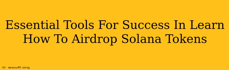 Essential Tools For Success In Learn How To Airdrop Solana Tokens