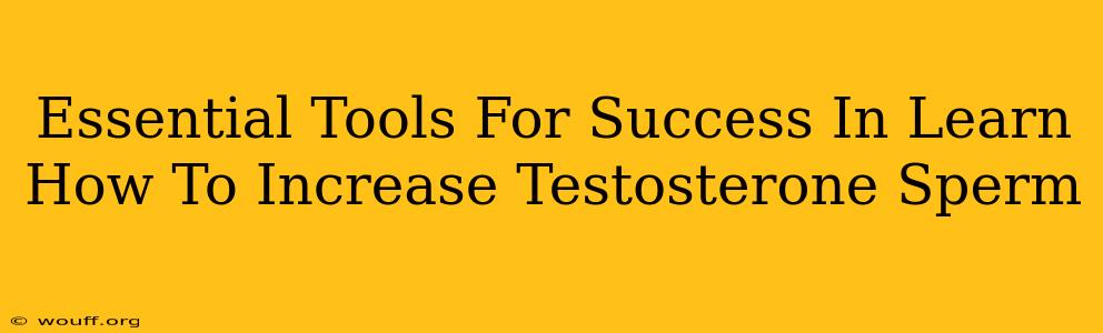 Essential Tools For Success In Learn How To Increase Testosterone Sperm