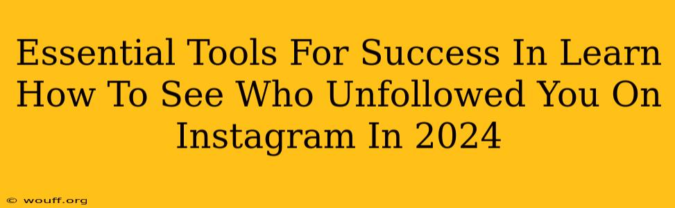 Essential Tools For Success In Learn How To See Who Unfollowed You On Instagram In 2024