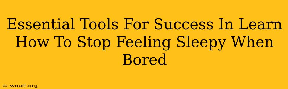 Essential Tools For Success In Learn How To Stop Feeling Sleepy When Bored