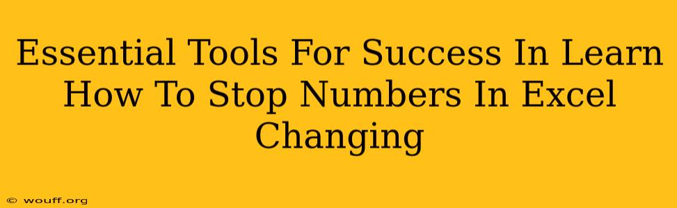 Essential Tools For Success In Learn How To Stop Numbers In Excel Changing