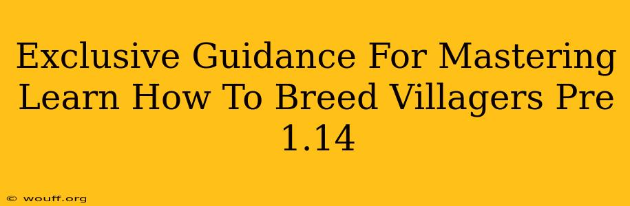 Exclusive Guidance For Mastering Learn How To Breed Villagers Pre 1.14