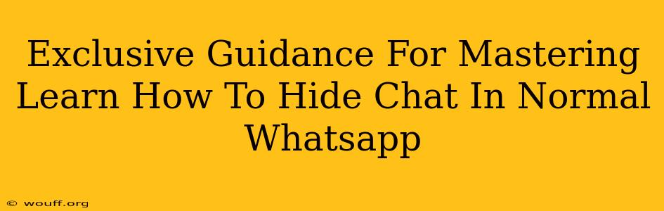 Exclusive Guidance For Mastering Learn How To Hide Chat In Normal Whatsapp