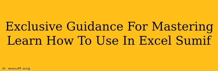 Exclusive Guidance For Mastering Learn How To Use In Excel Sumif