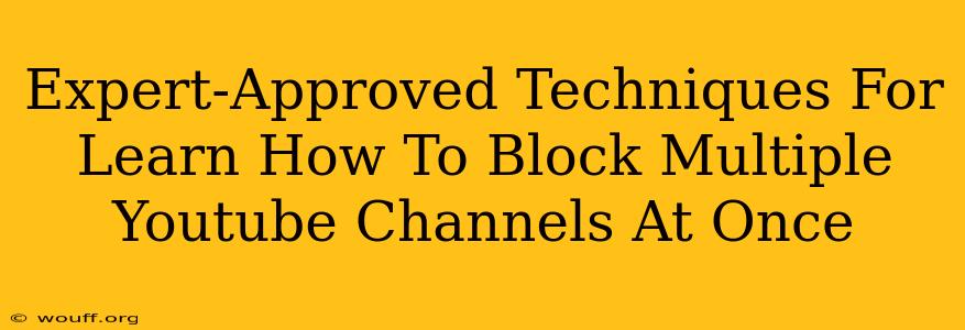 Expert-Approved Techniques For Learn How To Block Multiple Youtube Channels At Once