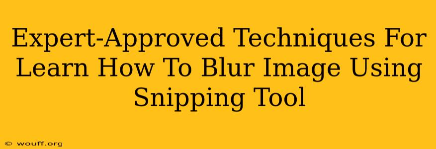 Expert-Approved Techniques For Learn How To Blur Image Using Snipping Tool