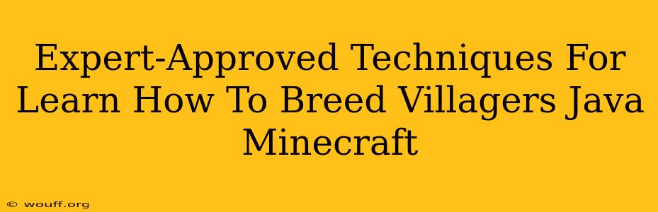 Expert-Approved Techniques For Learn How To Breed Villagers Java Minecraft