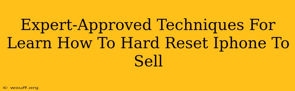 Expert-Approved Techniques For Learn How To Hard Reset Iphone To Sell